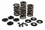 Kibblewhite Racing Valve Spring Kit .675"VL 20-21600. Fixed Price $212.81.