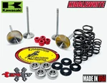 Kawasaki Kibblewhite Intake Exhaust Valves Red Seals & Spring Kit. Fixed Price $329.98.