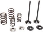 Moose Stainless Exhaust Valve & Spring Kit (0926-2468). Fixed Price $217.95.