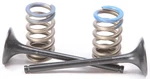 Pro Steel Valves And Spring Kits Exhaust 28.SES6351-1. Fixed Price $122.98.