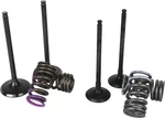 Wiseco Garage Buddy Valve Set SVKB4338 0926-3077 118026. Fixed Price $328.99.