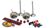 17-25 Honda Kibblewhite Head Intake Exhaust Valves Viton Seals. Fixed Price $135.98.