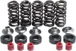 Kibblewhite Valve Spring Kit W/ Titanium Collar #80-80100 Yamaha. Fixed Price $190.90.
