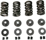 Kibblewhite Valve Spring Kit .600IN Lift #20-20132 Harley Davidson. Fixed Price $132.73.