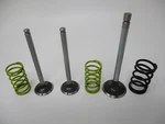 Genuine Kawasaki 12004-7006 Intake 1, 12005-0714 Exhaust Valve Springs FX921V. Fixed Price $106.99.