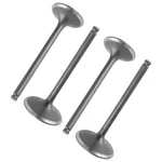 Intake Valves & Exhaust For Yamaha 33D-12111-00-00 33D-12121-00-00. Fixed Price $40.00.