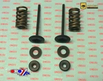 Valve Kit Exhaust CRF450R, Psychic XU-09534EK 07-08. Fixed Price $138.35.