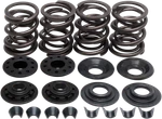 Kibblewhite Complete Valve Spring Kit .480IN. Lift 20-2210. Fixed Price $138.68.