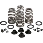 Kibblewhite Spring Kit .660" Evolution/twin Cam 20-21500. Fixed Price $169.18.