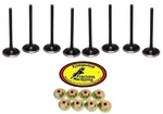 General 1000 Xp Kibblewhite Valves Kpmi Black Diamond Intake Exhaust Seals Kit. Fixed Price $269.99.
