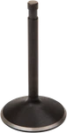 Kibblewhite Nitrided Valve 20-4196-1 Engine Enhanced Durability. Fixed Price $36.37.