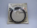Nos Yamaha YFM300 Tri Motor MOTO4 TW200 Piston Rings Standard Bore 21V-11610-00. Fixed Price $64.99.