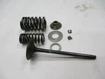 Valve Assembly, Exhaust 1995 Honda Vfr 750. Fixed Price $65.00.