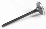 Kibblewhite Black Diamond Exhaust Valve 91-91116. Fixed Price $31.92.