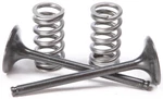 Pro X Steel Valves And Spring Kits 28.SES2440-1. Fixed Price $125.96.