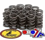 Spring Valve SET/16 GS750-1150, Kibblewhite 60-1028 Hayabusa. Fixed Price $382.85.