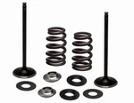 Kibblewhite Stainless Intake Valve/spring Kit Husqvarna Fs Fx Fc 450 96-96540. Fixed Price $192.75.