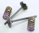 Pro X 28.SIS1336-2 Steel Valves And Spring Kits. Fixed Price $155.95.