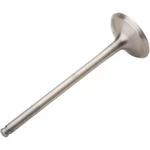Pro 28.4334-1 Titanium Exhaust Valve. Fixed Price $76.99.
