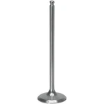 Xceldyne Titanium Intake Valve #X2TIVM13000 For Honda CRF450X/CRF450R. Fixed Price $101.38.