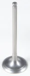 Kibblewhite Tensilite Titanium Intake Valve (center) 80-80215T. Fixed Price $89.73.