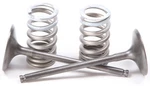 Pro X 28.SIS3338-2 Steel Valves And Spring Kits Intake. Fixed Price $155.95.