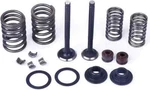110CC Coolster Max Trade Apollo Tao Valve Kit For Atvs, And Dirt / Pit Bikes. Fixed Price $11.99.