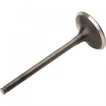 Pro Steel Exhaust Valve 28.1413-1. Fixed Price $54.05.
