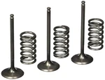 Pro X Intake Valve & Spring Kit 28.SIS2424-2 Yamaha YZ450F WR450F 2003-2009. Fixed Price $191.99.