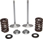 Kibblewhite Precision Intake Only Stainless Conversion Valve/spring Kit 40-40350. Fixed Price $157.21.