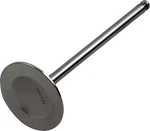 Del West DW-RMZ250-IV10 Intake Valve Rm-z. Fixed Price $148.15.