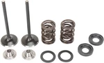 Moose Stainless Steel Exhaust Valve And Spring Kit W Seals Ktm 450 Exc 00-09. Fixed Price $196.95.