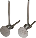 Del West Titanium Valves High Performance CRF250RIV10NDHF. Fixed Price $36.09.