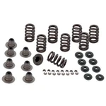 & Cycle Sidewinder Valve Spring Kit .605" 900-0958. Fixed Price $375.99.
