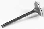 Kpmi 40-40656 Black Diamond Exhaust Valve. Fixed Price $41.56.