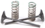 Pro X 28.SIS1340-2 Steel Valves And Spring Kits Intake. Fixed Price $155.95.
