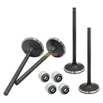 Engine Intake Valve For Polaris Predator 500 Outlaw 2003 2004-2007 3087981. Fixed Price $50.95.