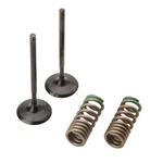 Pro X 28.SIS1340-2 Steel Intake Valve/spring Kit. Fixed Price $140.83.