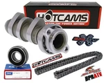 Hot Stage 2 Camshaft Timing Chain Kit+ Bearing '06-07 TRX450R 450ER Honda. Fixed Price $308.88.