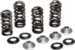 Kibblewhite 80-82300 Valve Spring Kit. Fixed Price $220.26.