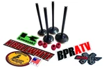 Kawasaki KFX450R Kibblewhite Intake & Exhaust Valves Red Viton Seals Replacement. Fixed Price $134.44.