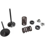 Moose Valve And Spring Kit Yamaha YZ450FX 0926-2732. Fixed Price $196.95.