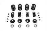 Sifton Valve Spring Kit For Harley-davidson. Fixed Price $81.99.