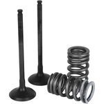 Wiseco Powersports Garage Buddy Steel Exhaust Valve Kit SVK2444-E. Fixed Price $191.95.