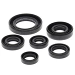 Vertex Oil Seal Kit For 1993-2008 Honda TRX300EX Sportrax Atv. Fixed Price $40.29.