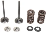 Moose Stainless Steel Valve And Spring Exhaust Kit W Seals Honda CRF450R 02-06. Fixed Price $196.95.