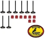 Kibblewhite +1 Mm Intake Black Diamond Valves & Seals Kit Kawasaki Ninja ZX-14. Fixed Price $239.99.