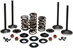 Kibblewhite Complete Valve Kit 20-22650 For 84-99 Harley Davidson Evo. Fixed Price $239.57.