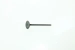 Honda Valve, Ex. 14721-MFL-000 Oem New. Fixed Price $52.00.
