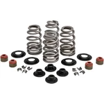 Kpmi Spring Kit .610 Lift Twin Cam 20-21400. Fixed Price $178.66.